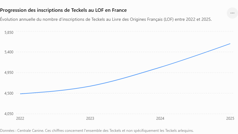 Quel est le caractère du chien arlequin teckel