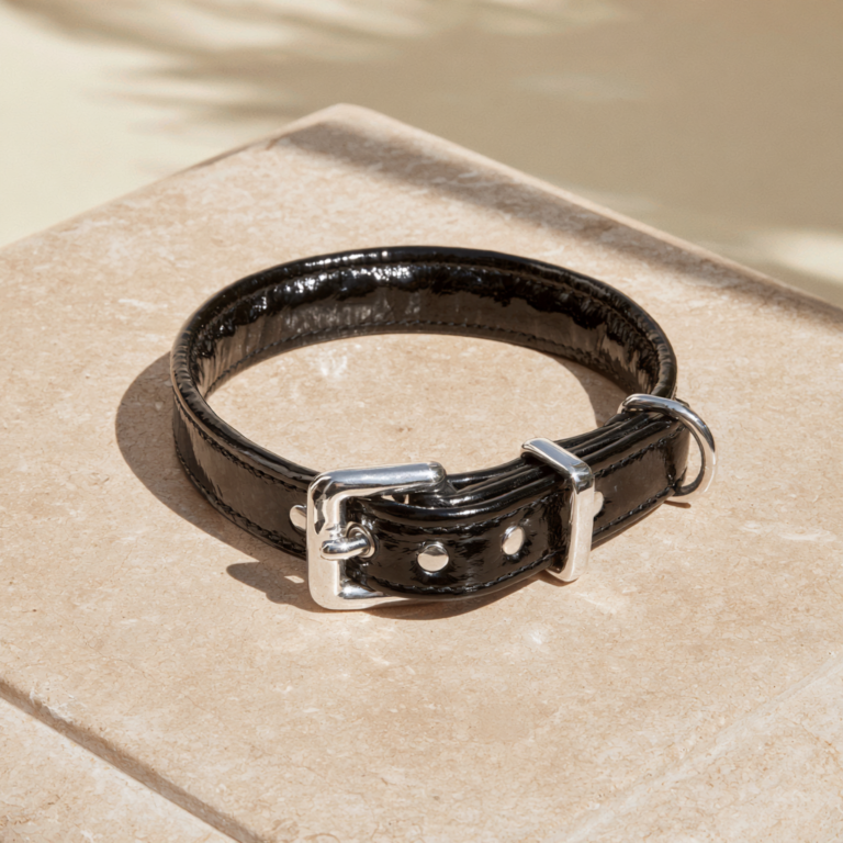 Collier pour Chien en Cuir Artisanal Héritage