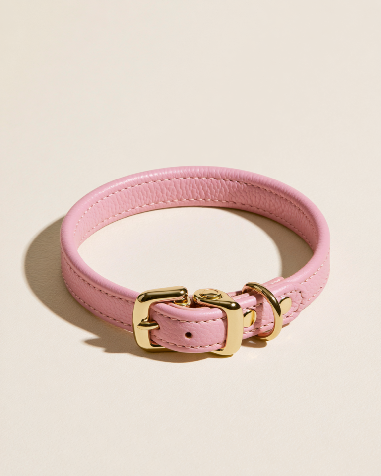 Collier Cuir Rose pour Chien Premium – Boucle Dorée Élégance