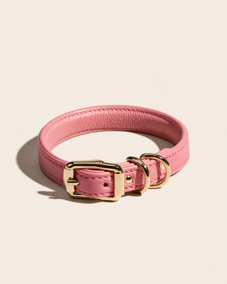 Collier Rose en Cuir Véritable pour Chien avec Finitions Dorées