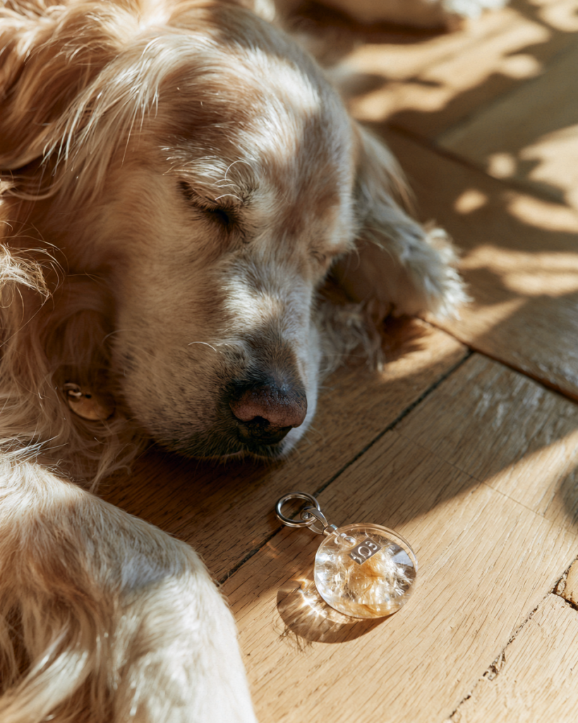 Un Porte Cle Poil de Chien pour Conserver un Précieux Souvenir