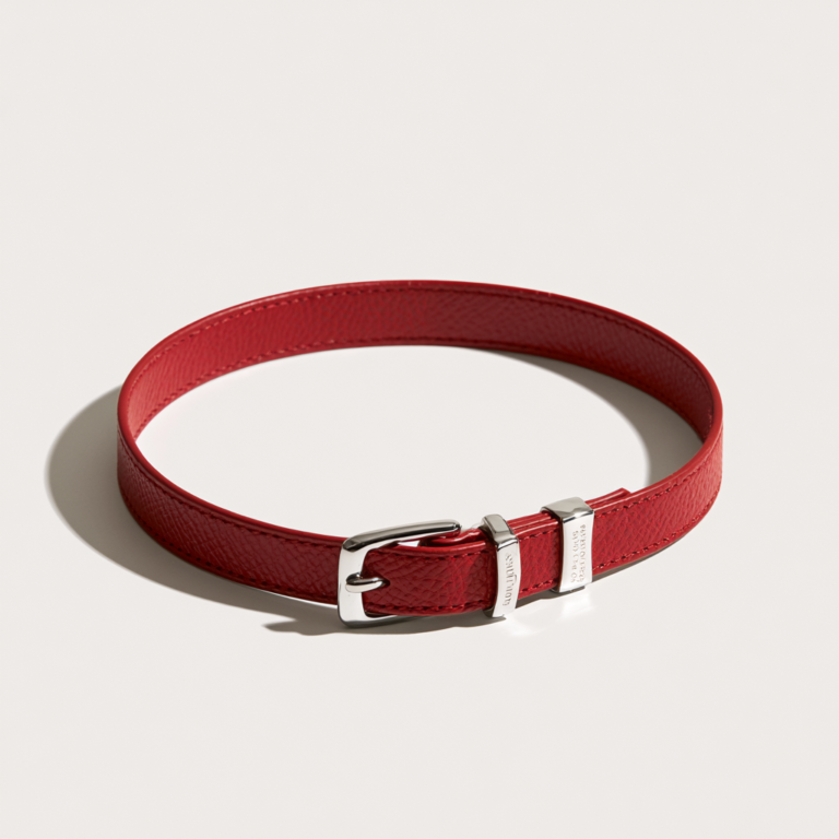Collier pour chien avec numéro de téléphone – Rouge Élégance