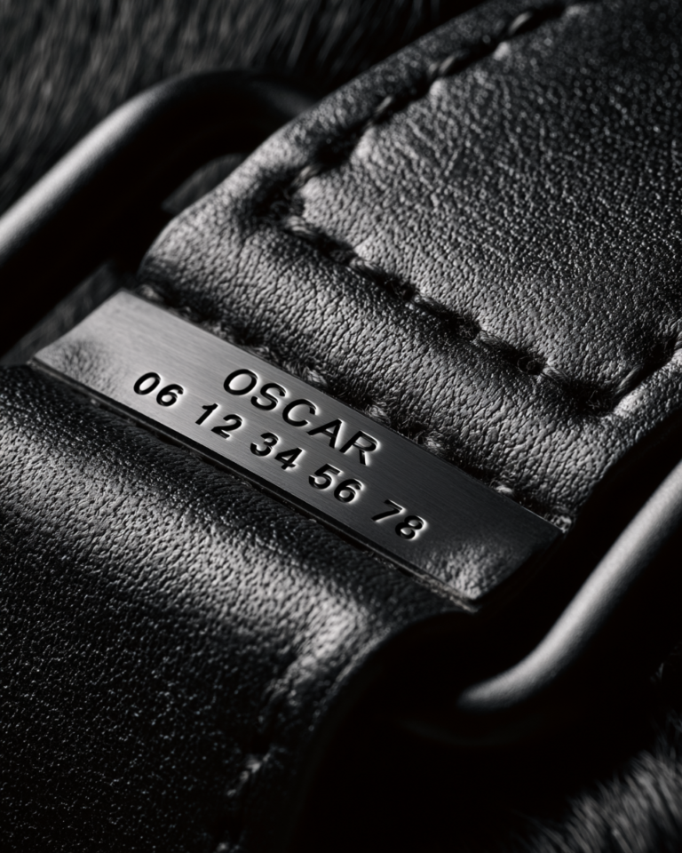 Collier pour chien avec numéro de téléphone – Noir Prestige